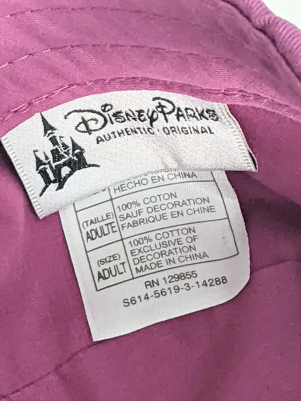 DISNEY PARKS 